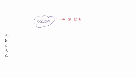 what-is-a-codon-a-three-mrna-nucleotides-that-encode-a-specific-amino-acid-b-five-mrna-nucleotides-that-encode-a-specific-amino-acid-c-five-mrna-nucleotides-that-encode-a-particular-protein-79242