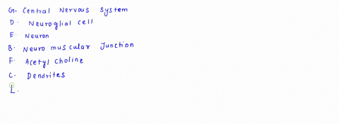 matching-1-brain-and-spinal-cord-a-interneuron-2-helper-cell-b-neuromuscular-junction-3-functional-cell-c-dendrites-4-sensory-function-d-neuroglial-cell-5-motor-function-e-neuron-6-integrati-00873