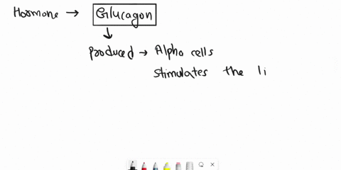 which-of-these-hormones-causes-release-of-glucose-into-the-blood-growth-hormone-thyroid-hormone-cortisol-insulin-or-glucagon-49809