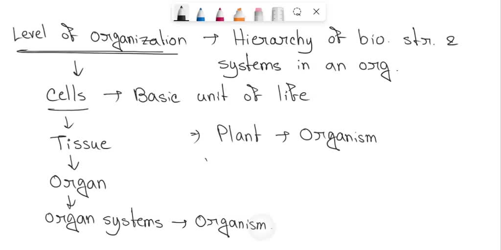 SOLVED If a plant is an organism then the plants leaves, roots and