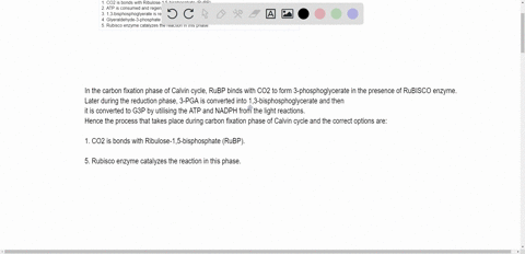 which-of-the-following-occurs-during-the-carbon-fixation-phase-of-the-calvin-cycle-in-photosynthesis-choose-all-that-apply1-co2-is-bonds-with-ribulose-15-bisphosphate-rubp2-atp-is-consumed-a-80644