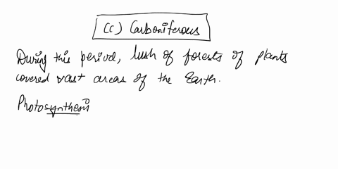 plant-photosynthesis-transformed-a-very-large-amount-of-atmospheric-carbon-dioxide-into-decay-resist-35142