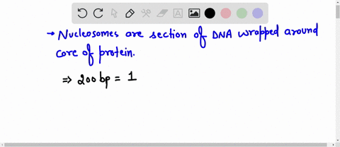 a-diploid-plant-cell-contains-2-billion-base-pairs-of-dna-q-how-many-nucleosomes-are-present-in-the-cell-63772