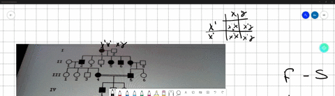 ii-iii-iy-based-on-the-pedigree-above-which-of-the-following-modes-of-inheritance-cannot-be-ruled-out-given-that-all-of-the-standarc-apply-a-autosomal-recessive-b-x-linked-recessive-x-linked-02437