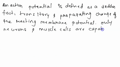 what-is-an-action-potential-33843