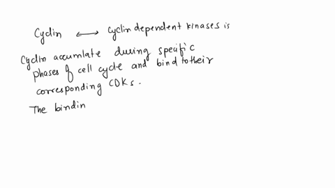 the-cell-cycle-encompasses-three-major-processes-interphase-mitosis-and-cytokinesis-interphase-is-then-further-divided-in-to-three-phases-to-ensure-the-cell-progresses-toward-proper-replicat-89128