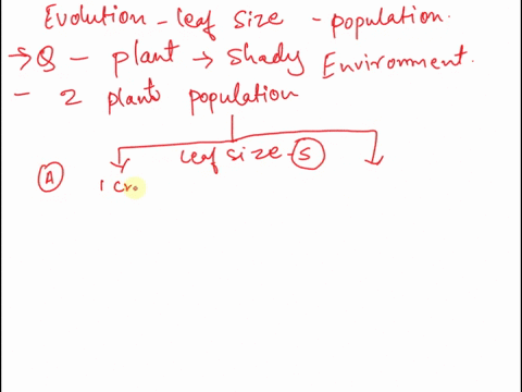 question-7-of-14-suppose-scientists-studied-a-species-of-plant-that-grows-in-shady-environments_-they-measured-the-size-of-leaves-in-two-plant-populations-and-found-that-the-size-distributio-53727