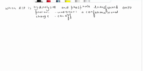 1when-the-atp-is-hydrolyzed-it-transfers-phosphate-onto-the-protein-the-protein-changes-its-conformation-changes-ion-affinity-what-ion-does-it-now-have-a-lower-affinity-for-a-na-b-k-c-cg2-d-52208