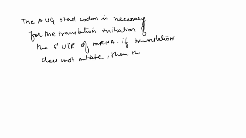 some-of-the-mutations-of-the-type-have-an-interesting-property-they-prevent-the-formation-of-the-antiterminator-that-normally-takes-place-when-the-tryptophan-level-is-low-in-one-of-these-mut-64204