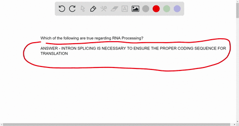 which-of-the-following-is-true-regarding-rna-processing-group-of-answer-choices-it-mainly-occurs-in-prokaryotes-all-of-the-answers-are-correct-it-involves-removal-of-exons-intron-splicing-is-15669