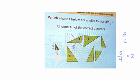 make-sure-you-start-new-workings-which-shapes-below-are-similar-to-triangle-t-choose-all-of-the-correct-answers-58145