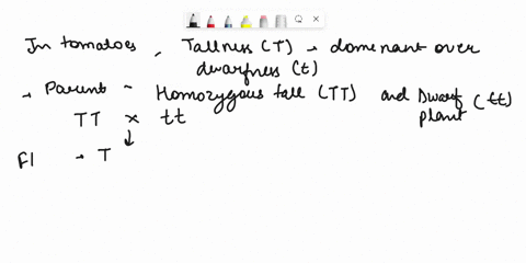 in-the-california-poppy-an-allele-for-yellow-flowers-c-is-dominant-over-an-allele-for-white-flowers-c-at-an-independently-assorting-locus-allele-for-entire-ptals-fis-dominant-over-allele-for-39856