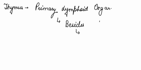 whats-the-role-of-the-thymus-and-how-does-the-cortex-differ-from-medulla-53786