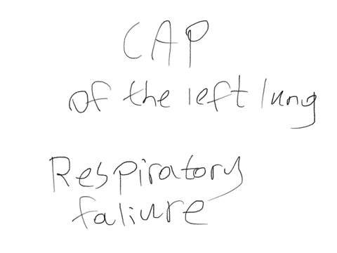 what-issue-could-harm-a-patient-if-not-addressed-with-nursing-interventions-for-community-acquired-pneumonia-of-the-left-lung