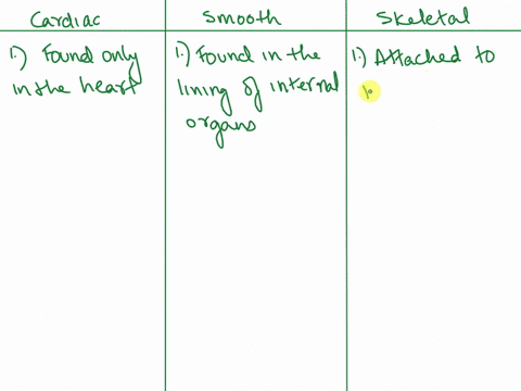 how-do-smooth-muscles-and-cardiac-muscles-differ-from-skeletal-muscles-86663
