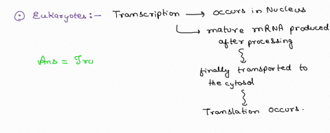 please-answer-the-following-transcription-and-translation-occur-simultaneously-in-prokaryotes-but-these-processes-are-separated-by-the-nuclear-envelope-in-eukaryotes-true-or-false-rna-polyme-28177