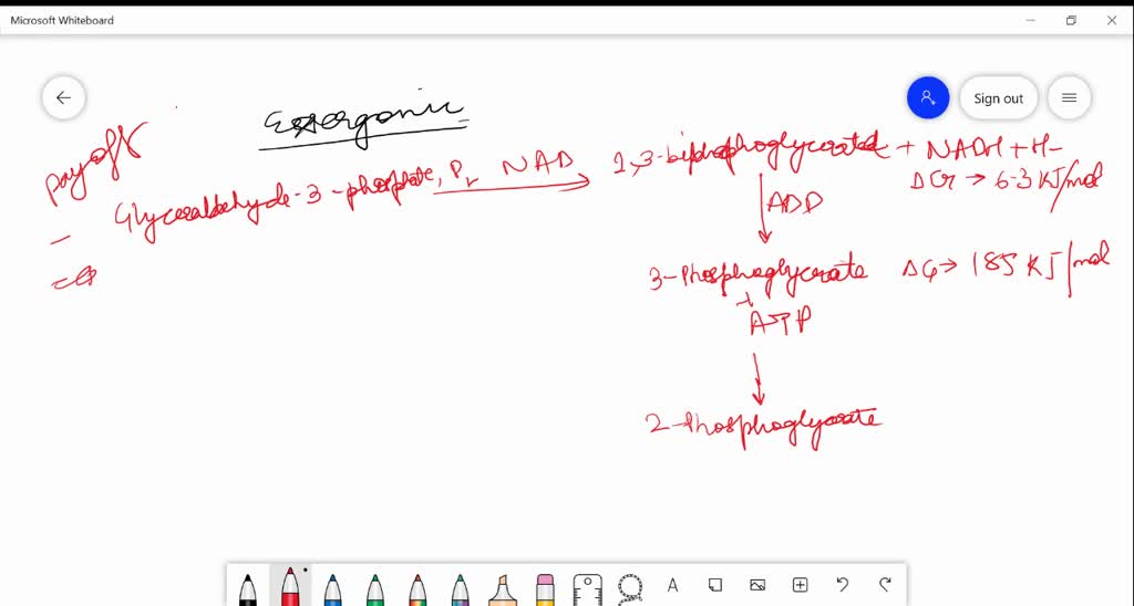 SOLVED The Payoff Phase Of Glycolysis In Skeletal Muscle In Working 