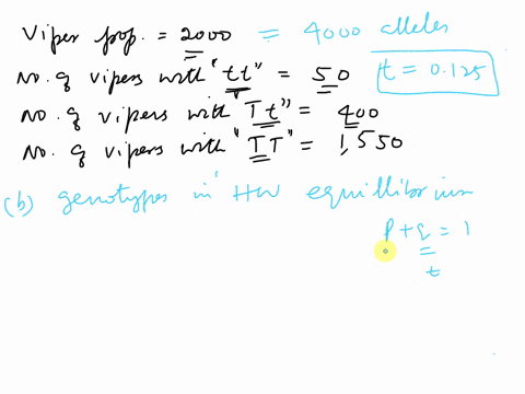 hardx-weinberg-equilibrium-c-hw7-in-a-population-of-2000-gaboon-vipers-genctic-differences-with-respect-o-venom-exist-in-single-gene-thc-alleles-arc-incompletely-dominant-the-population-show-36976
