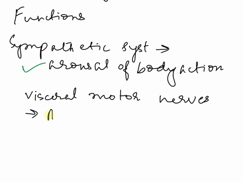 select-the-accurate-statements-regarding-the-divisions-of-the-nervous-system-select-the-accurate-statements-regarding-the-divisions-of-the-nervous-system-choose-all-that-apply-check-all-that-81908