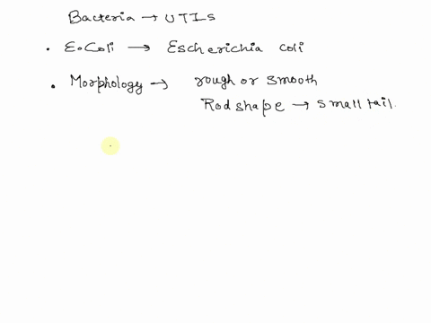 what-is-the-primary-bacterial-agent-causing-urinary-tract-infections-and-provide-the-tull-bacterial-name-not-an-abbreviation-gs-morphology-virulence-factors-provide-two-factors-and-transmiss-28074