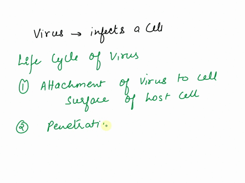 how-does-virus-infect-cell-write-the-life-cycle-of-a-virus-cell-kapur-18-intone-sxclen-exrlam-e-dliiereri-gpe-aflmmunity-ih-examples-vel3-97694
