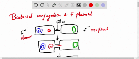 an-f-cell-is-the-recipient-cell-during-conjugation-with-an-f-cell-after-conjugation-is-completed-the-recipient-cell-has-become-an-hfr-cell-can-be-used-in-an-interrupted-mating-experiment-to-09209