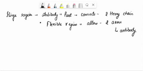 question-3o-z-poiitsi-in-the-porter-and-edelman-experiment-the-proteases-cut-the-hinge-region-dna-papain-2-fab-and-1-fc-pepsin-1-fab-2-and-1-partial-fc-b-and-none-of-the-abore-question-39-2-85682