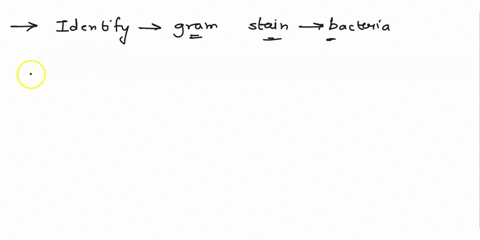 assignment-instructions-part-1-reflect-on-what-you-learned-this-week-through-the-labs-and-learning-activities-by-discussing-the-following-why-is-it-important-to-identify-the-gram-stain-of-a-67434