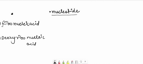 what-are-the-two-extra-elements-found-in-nucleic-acids-39074