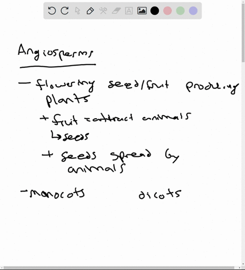 explain-the-progressive-features-of-angiosperms-that-give-them-selective-advantage-over-all-other-plant-groups-2