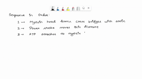 rank-the-sequence-of-cross-bridge-cycling-starting-with-the-myosin-binding-sites-being-exposed-and-ending-with-relaxation-due-to-cross-bridge-cycling-ending-do-not-overlap-any-events-sequenc-34959