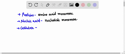 match-each-molecule-with-its-components-_______protein-_______phospholipid-_______fat-_______nucleic-49772
