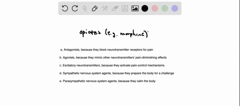 opiate-drugs-such-as-morphine-are-classified-as-what-a-antagonists-because-they-block-neurotransmitt-23083
