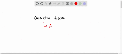the-type-of-tissue-that-surrounds-various-organs-and-supports-nerve-and-blood-vessels-is-called-_____-65854