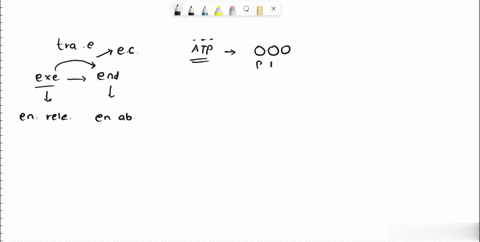 how-does-atp-facilitate-energetic-coupling-the-hydrolysis-of-atp-reduces-the-activation-energy-necessary-to-synthesize-the-final-molecule-of-reaction-the-hydrolysis-of-atp-increases-the-pote-51583
