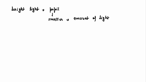 which-structure-in-the-eye-may-change-in-size-under-different-conditions-of-light-intensity-98702