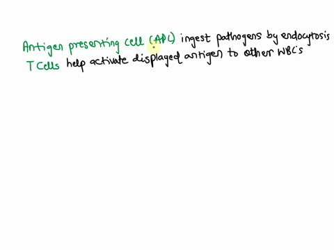 ___________________-ingest-pathogens-by-endocytosis___________________-help-activate-displayed-antigen-to-activate-other-wbcs-37017