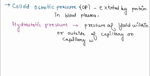 vess21-wceron-which-statement-i5-false-concerning-movement-of-fluid-between-capillaries-and-interstitial-space-blood-hydrostatic-pressure-forces-fluid-from-the-capillary-to-the-interstitial-20734