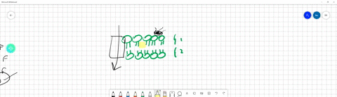 which-of-the-following-is-not-a-component-of-the-cell-membrane-a-cholesteral-b-triglycerides-c-phospholipids-d-integral-proteins-and-dna-can-nor-leave-this-organelle-a-golgi-appartus-b-mitchocondria-c