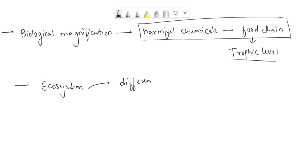 SOLVED What is biological magnification? Will the levels of this