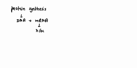 during-protein-synthesis-the-anticodon-on-trna-pairs-with-a-codon-on-trna-b-codon-on-mrna-c-ribosome-unit-d-codon-on-rrna-24064
