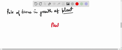 what-is-a-tissue-explain-its-role-in-growth-of-plant-83871