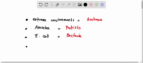 microscopic-single-celled-organisms-often-found-in-extreme-environments-choose-archaea-fungi-bacteria-protists-eukarya-plantae-animalia-amoeba-ecoli-canbe-vertebrates-or-invertebrates-choose-69518