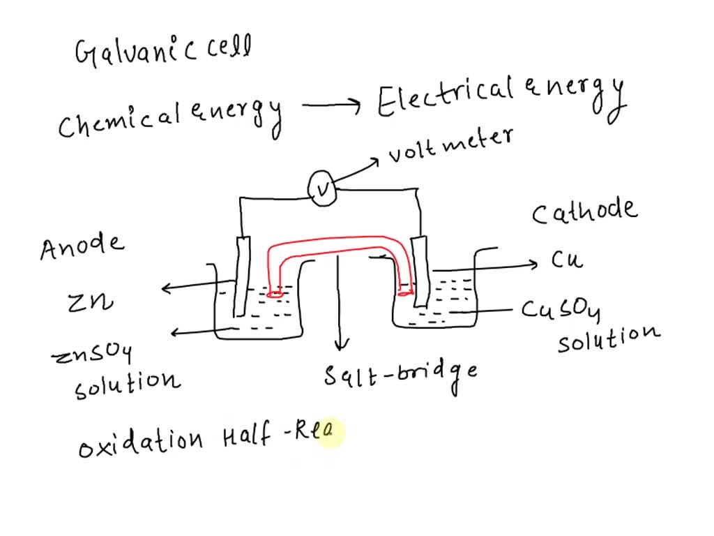 SOLVED Identify the location of oxidation in an electrochemical cell