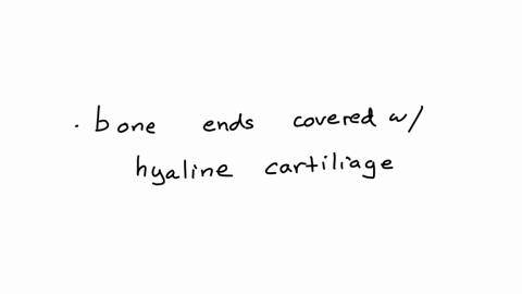 which-of-the-following-is-a-feature-of-synovial-joints-a-bar-or-plate-of-hyaline-cartilage-unites-the-bones-bone-ends-covered-with-hyaline-cartilage-bone-ends-covered-with-fibrocartilage-the-bones-are