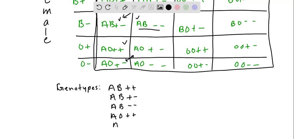 Solved Complete Dihybrid Punnett Square Where Each Parent Is Heterozygous For Both The Blood