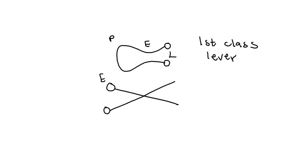 SOLVED What kind of simple machine is a tweezer (be specific give