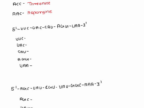 5-uuu-ggg-acc-aac-3-enter-the-sequence-using-three-letter-abbreviations-separating-cach-terrn-with-hyphen-iable-hof-submit-exevious-answers-request-answer-incorrect-try-again-attempts-remain-54117