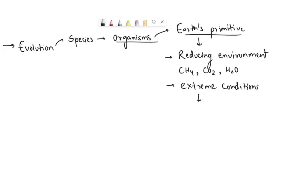 solved-the-first-organism-in-a-food-chain-must-always-be-what-type-of