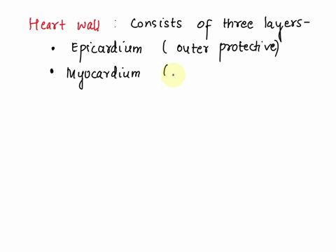 which-layer-of-heart-is-composed-of-the-contractile-cardiac-muscle-pericardium-endocardium-myocardium-medlastinal-87203